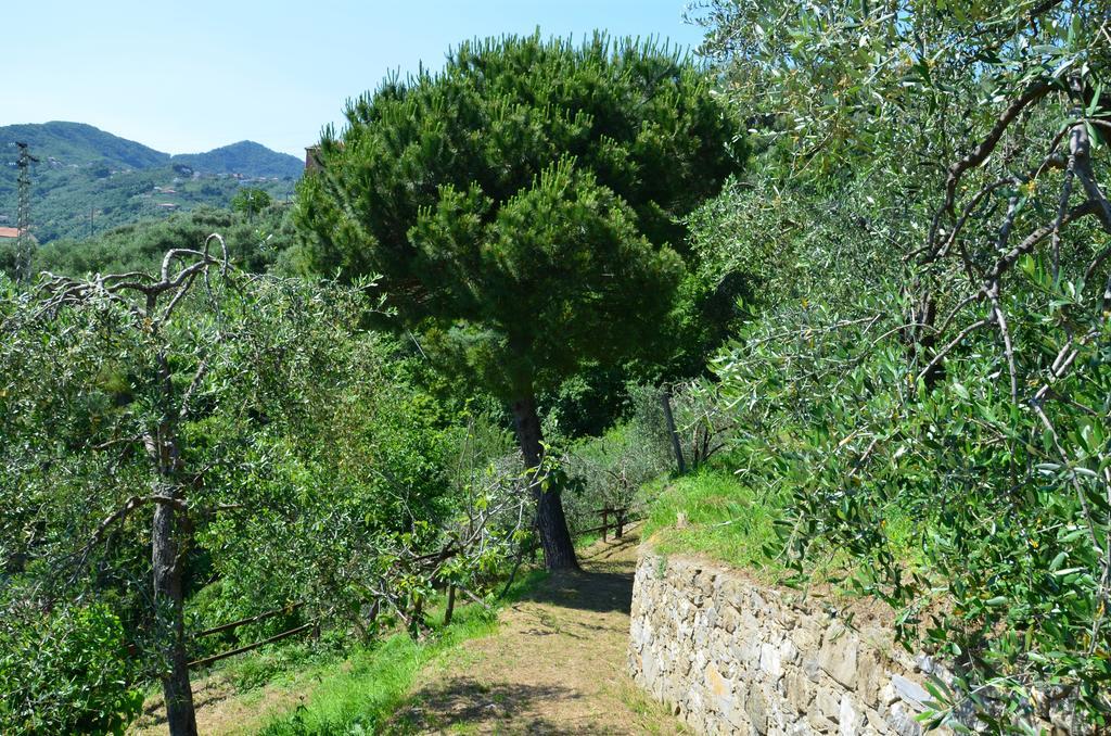 Villa Delle Rose Chiavari Εξωτερικό φωτογραφία